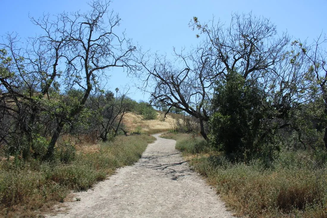 Debs Park, LA—running and kundalini
