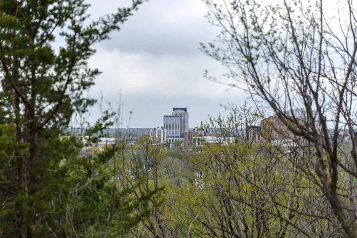 Minnesota—forward and backward