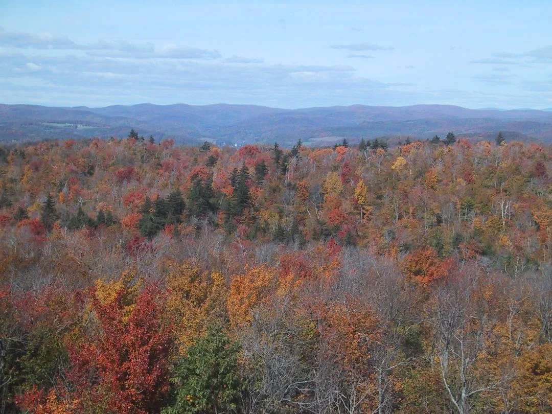 Vermont—seasons convulse